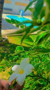 Presídio Beach House