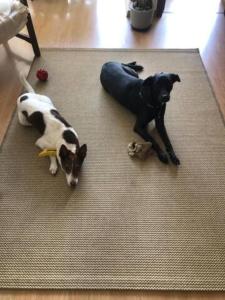 Confortável quarto duplo a passos da praia - disponível no Carnaval!