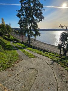 Lago Ranco, cabaña orilla de lago
