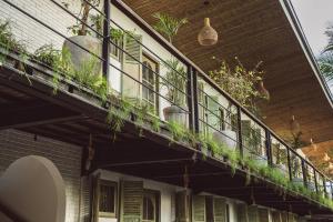 White Penny Hostel