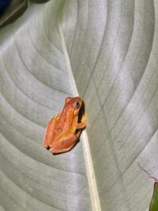 Residential Finca celeste