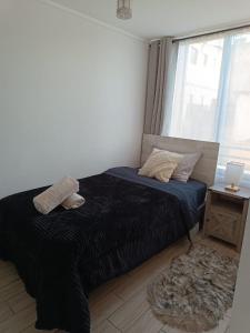 Santiago Centro 2H 2B full equipado y WiFie TV