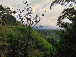 Somos Zapatón Catarata EL REY