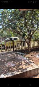 Aarex 63B Sparsh Chalet