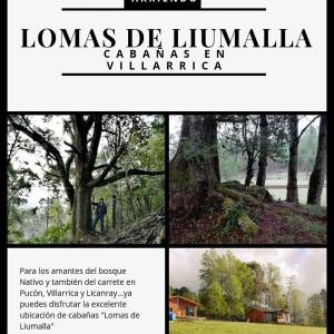 Cabañas Lomas de Liumalla