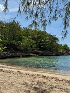 Sweet Palm Villa - Spacious luxury villa with pool and Beach oasis