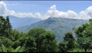 Aman magic resort