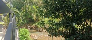 River side geust house