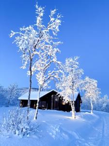 Forest lodge