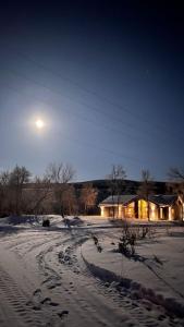 Forest lodge