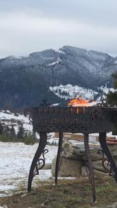 Будиночок мрії в Карпатських горах