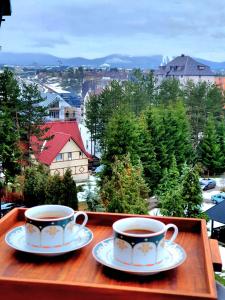 Zlatibor Apartman Harizma