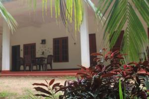 Punkalasa tourist lodge