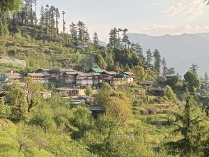 Apple Zone Home stay