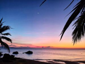 Phangan Orchid Resort