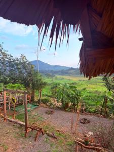 Ruộng Homestay