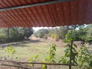 Hornbill, homestay a silent place, an entire bungalow to relax n enjoy