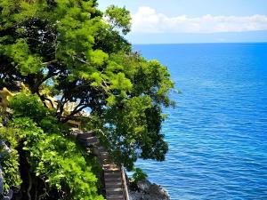 Alexis Cliff Dive Resort