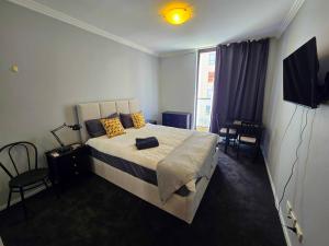 Luxury Studio Apt near China Town & Hay Market