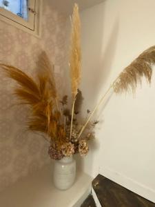 La source, maison de ville vieux Périgueux