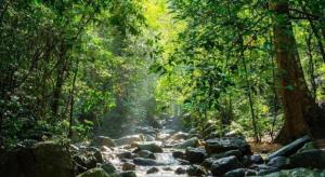 OYO 75322 Tha Burapa Resort Bangsean