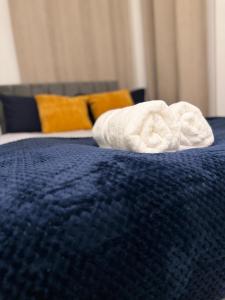 Executive 3-Bed 2-Bath Apartment Central London