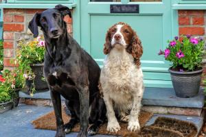 2 Bed in Happisburgh oc-b34457