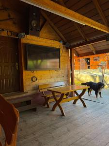 Agro Ranczo - Domek na wynajem