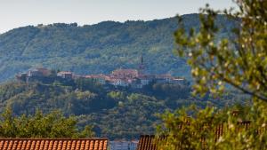 Beautiful Villa Rhapsody with pool in Buzet