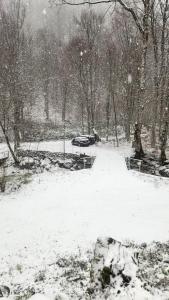 Casa de vacanta Julius