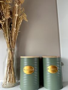 MOBIL-HOME VIOLETTE 6-8 Places