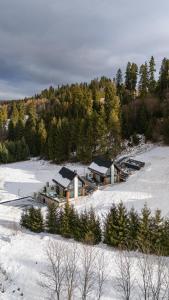 Luxury Houses Łapsze