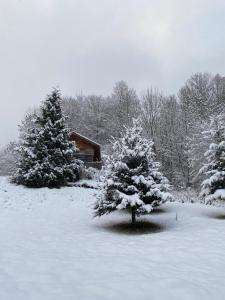 Chalet la Cabane dErnestine, petit-déjeuner inclus