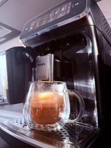 Apartamentul lui Radu