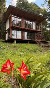 Chiraco cabins native jungle