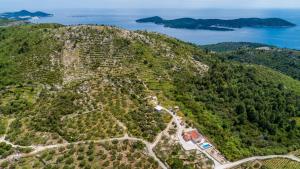 Villa M - Dubrovnik by Villas Guide