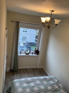 Room in Glasgow 20 mins away from city