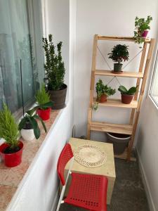 Retro & cozy grivitei 156 flat near nord station