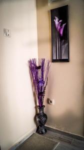 Guest House Meridi