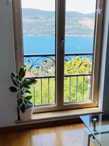 Sunny Bay Apartments