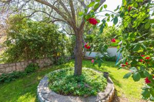 Romantisches Apartment nur 300 Meter zum Strand mit Parkplatz und Grill