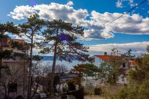 Hundefreundliches Studio-Apartment nur 250 Meter zum Strand mit Meerblick