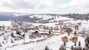 NORDIC Apartamente Păltiniș