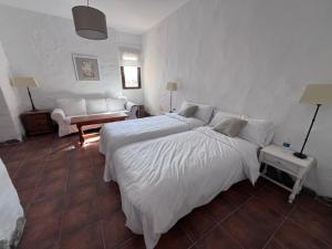 El senorio de Valdepusa