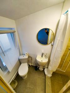 Pura Vida Downtown Tiny houses