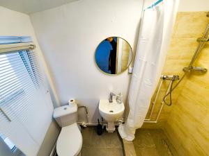 Pura Vida Downtown Tiny houses