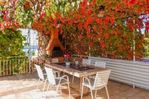 Haustierfreundliches Apartment mit großer Terrasse und grandiosen Blick auf das Meer