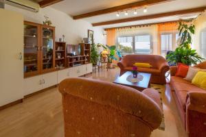 Haustierfreundliches Apartment mit großer Terrasse und grandiosen Blick auf das Meer