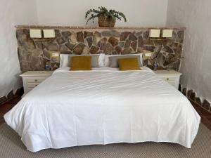 El senorio de Valdepusa