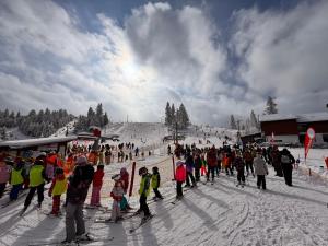NORDIC Apartamente Păltiniș